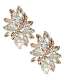 Earrings Style #57715F